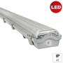 Graue E2 Elektro LED Feuchtraumleuchte Classic-Power M 2x18W, robust und wasserfest.