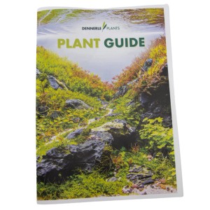 Dennerle Plants Pflanzenratgeber für Aquariumpflanzen mit Gestaltungstipps.