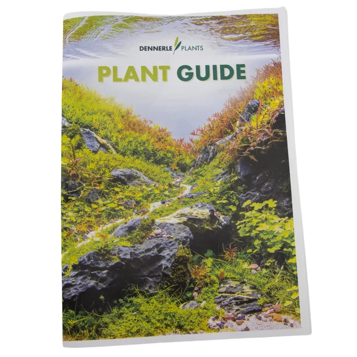 Dennerle Plants Pflanzenratgeber kaufen bei OBI