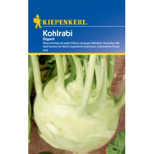 Kiepenkerl Kohlrabi Gigant Samen: Hellgrüner, großer Kohlrabi auf der Packung.