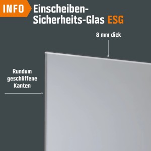 Detailaufnahme: ESG Glasdrehtür Klarglas mit geschliffenen Kanten, 8 mm dick.