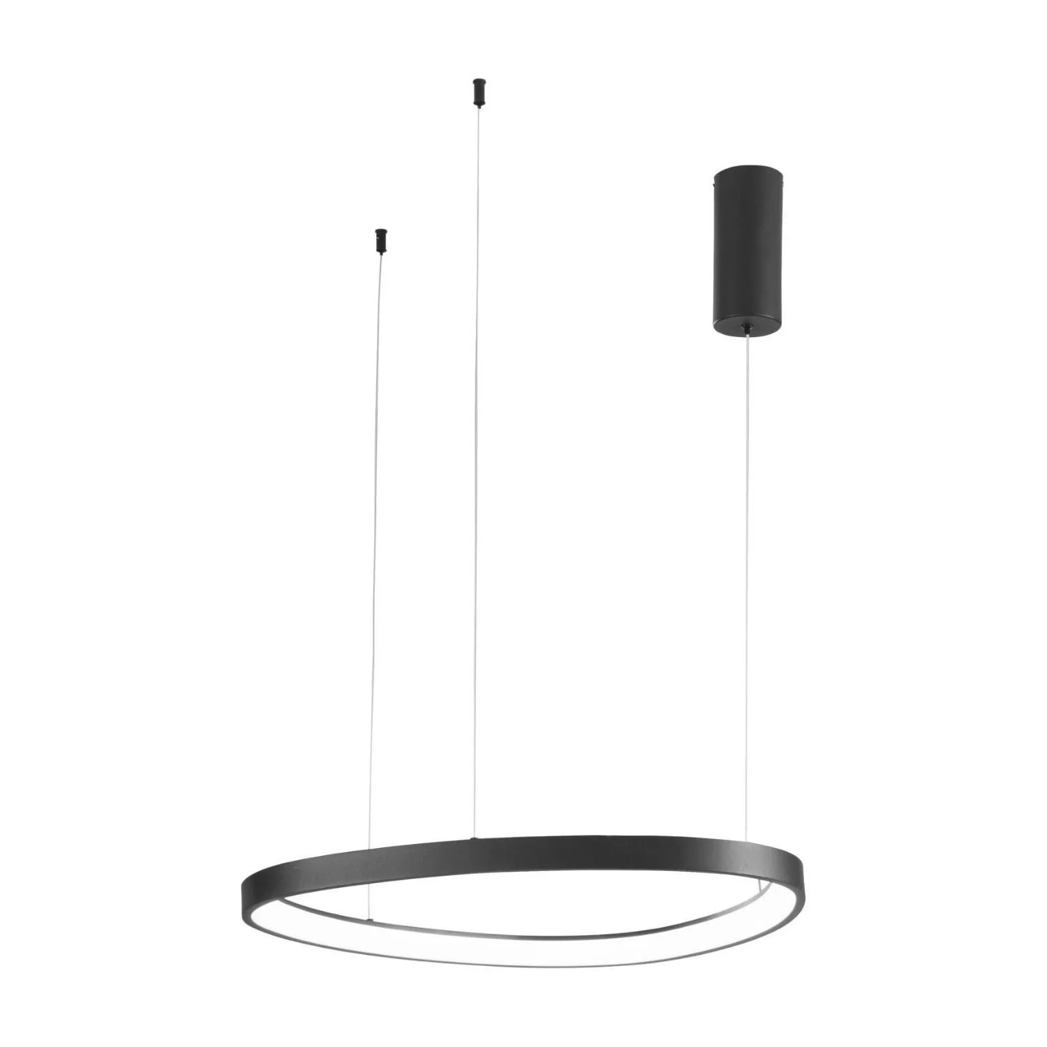 Licht-Erlebnisse LED Hängeleuchte Schwarz 65 CM Breit Farbwechsel Warmweiß-Kaltweiß Modern