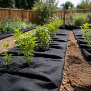 Schwarzes Polyesterfaser Geotextil-Vlies im Gartenbeet mit jungen Pflanzen. Ideal für Unkrautbekämpfung & Garten.