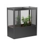 Biohort Gewächshaus Florentina Maxi, 2x1m, dunkelgrau-metallic, mit Pflanzen.