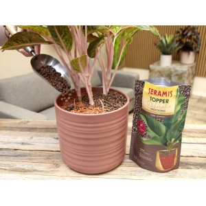 Seramis Topper Espresso 1L wird in einen Topf mit Pflanze gefüllt, Packung im Hintergrund.