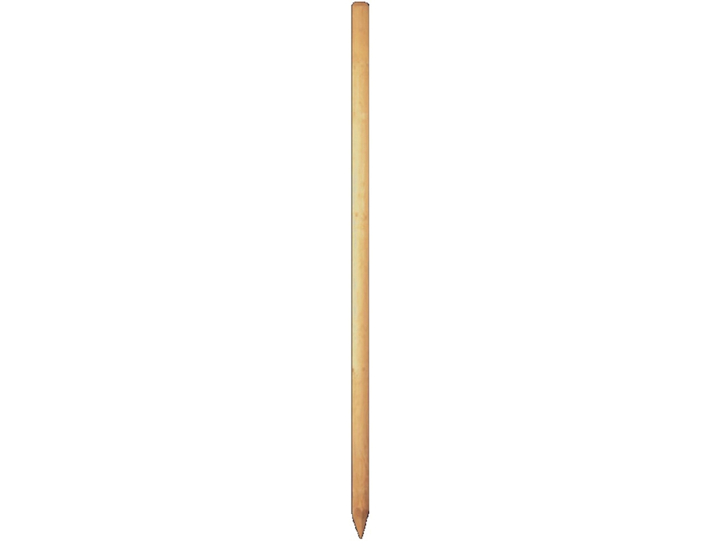Baumpfahl-Set – 9-teilig Mit Stahlpfählen (30 Cm), Reflektierenden Seilen (4 M) & Baumgurten, Für Junge Bäume