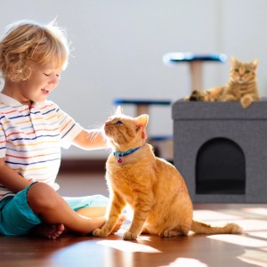 Graue Relaxdays Katzenhöhle mit Kind und zwei Katzen, eine liegt auf dem Deckel.