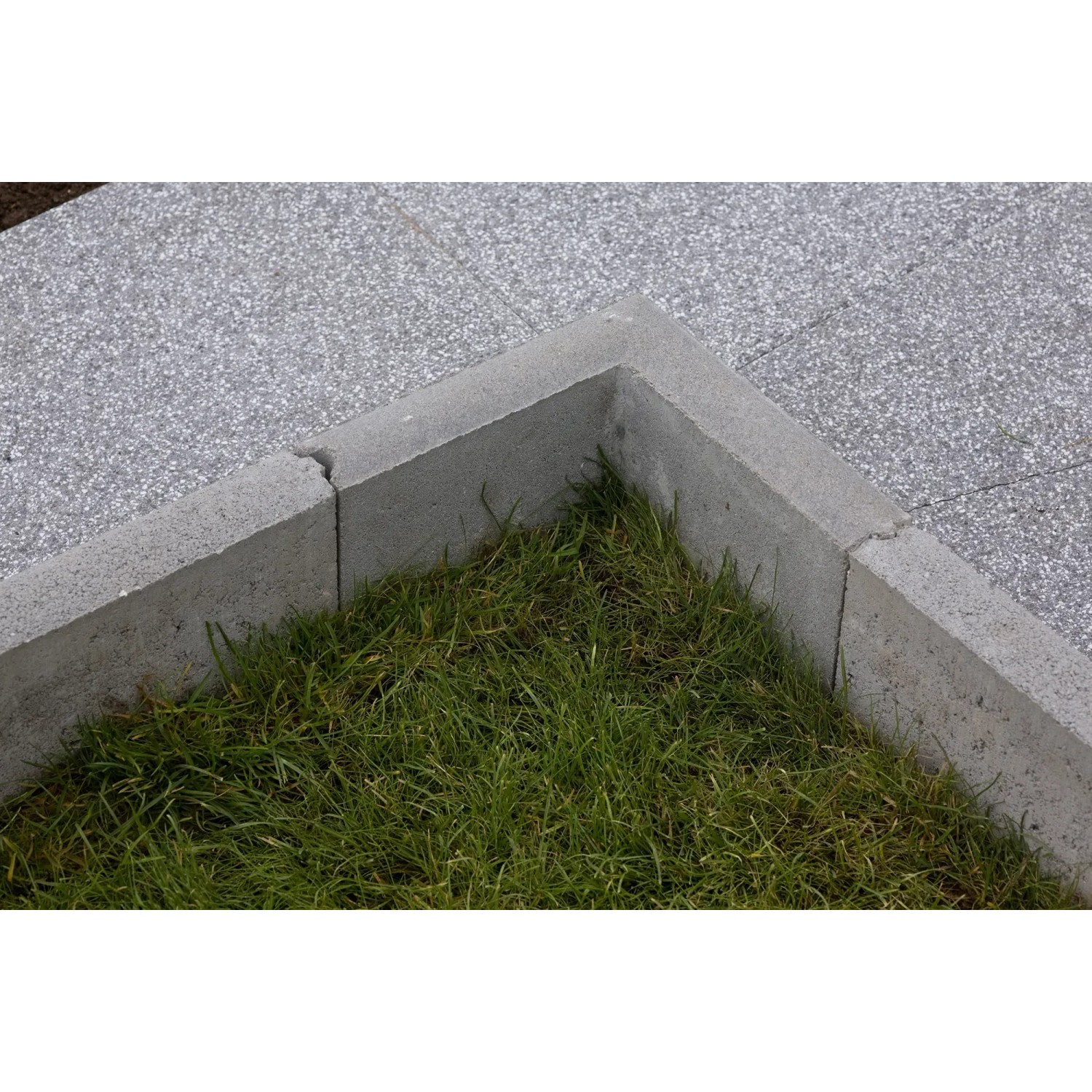 EHL Rasenkante Nut und Feder 5 x 30 x 100 cm Grau kaufen bei OBI