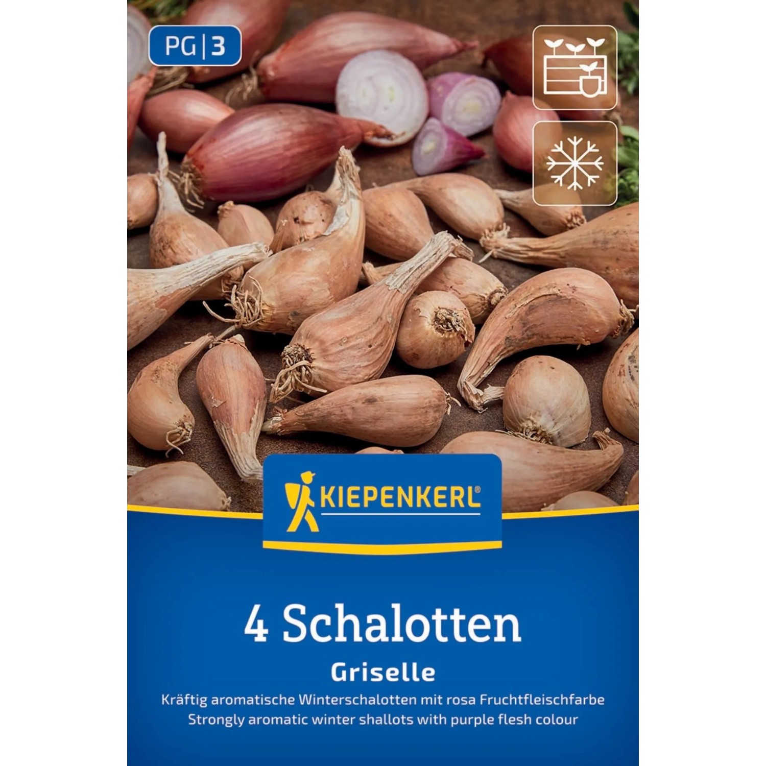 Kiepenkerl Steckzwiebeln Winterpflanzschalotte Griselle 4 Stück