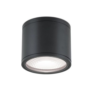 Schwarzer zylindrischer LED Deckenaufbaustrahler, IP65, für Nassräume & Außenbereiche. Warmweißes Licht.