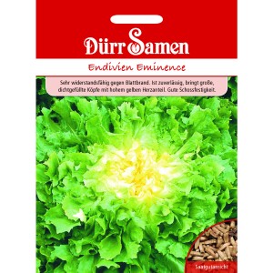 Dürr Samen Winter-Endivien Eminence: Saatgut-Packung mit Endivien-Salat, grüne Blätter, gelber Kern.