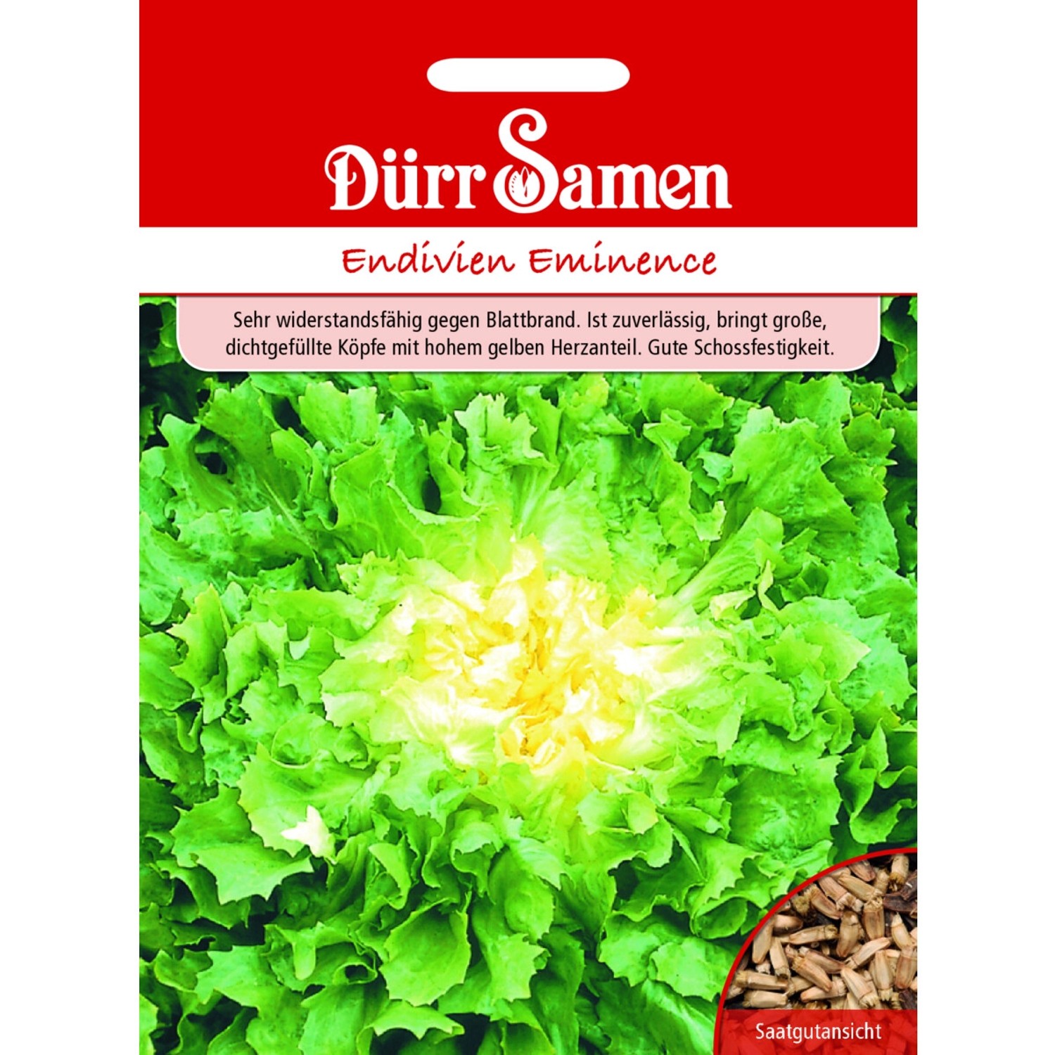 Dürr Samen Winter-Endivien Eminence Saatgut günstig online kaufen