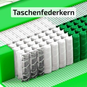 Matratzen Perfekt Taschenfederkernmatratze München 80 x 200 cm 1000 Federn H4 7 Zonen 23 cm Höhe Aloe-Vera-Bezug