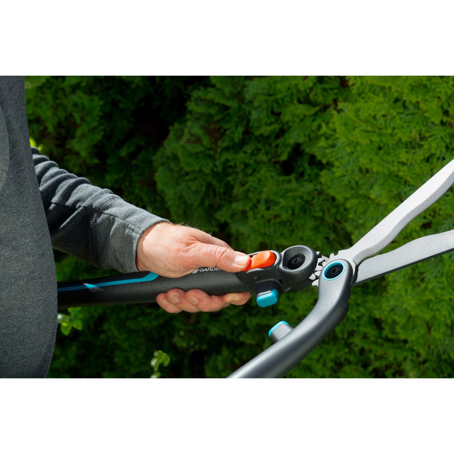 Gardena EnergyCut 2in1 Hand-Heckenschere in Aktion vor grüner Hecke.