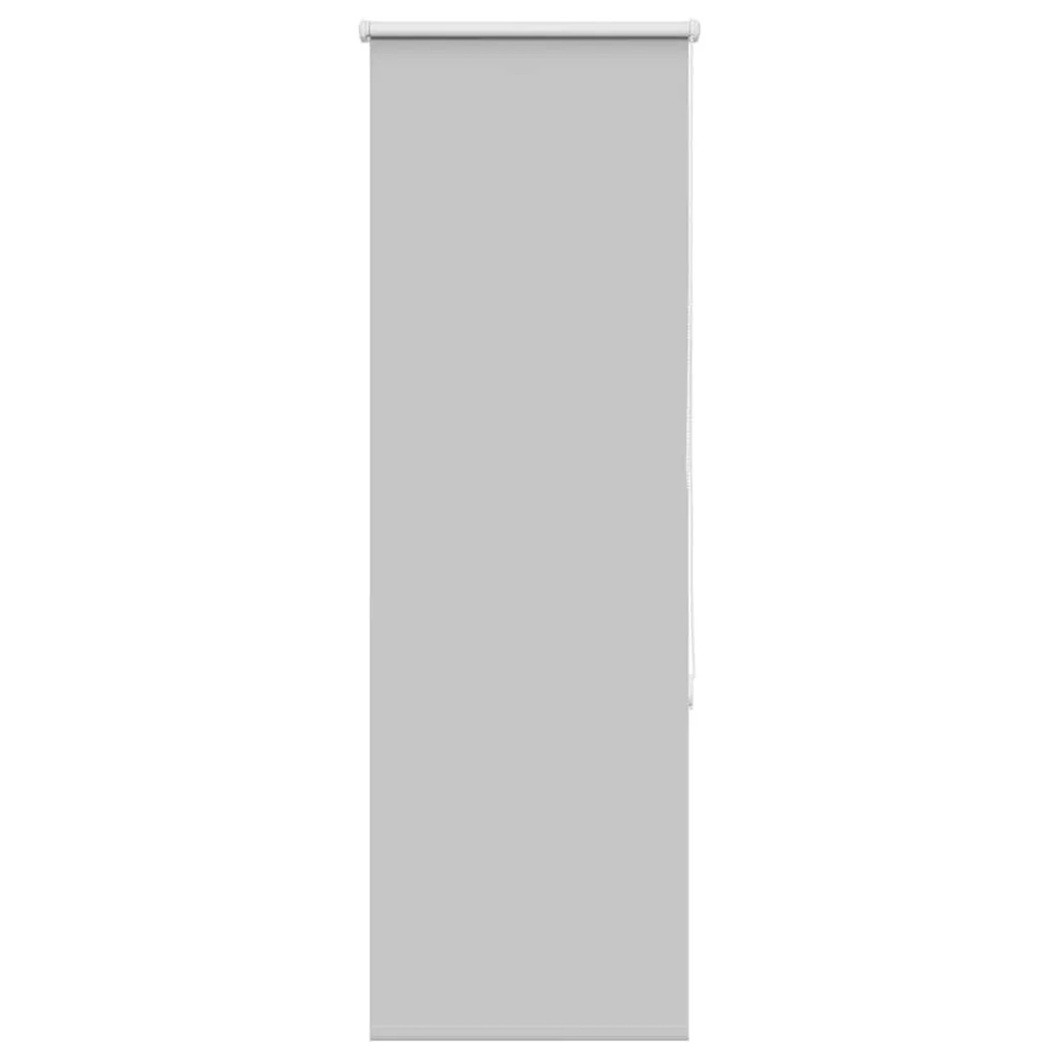 vidaXL Verdunkelungsrollo Hellgrau 60x130 cm Stoffbreite 55,7 cm 4011354 günstig online kaufen