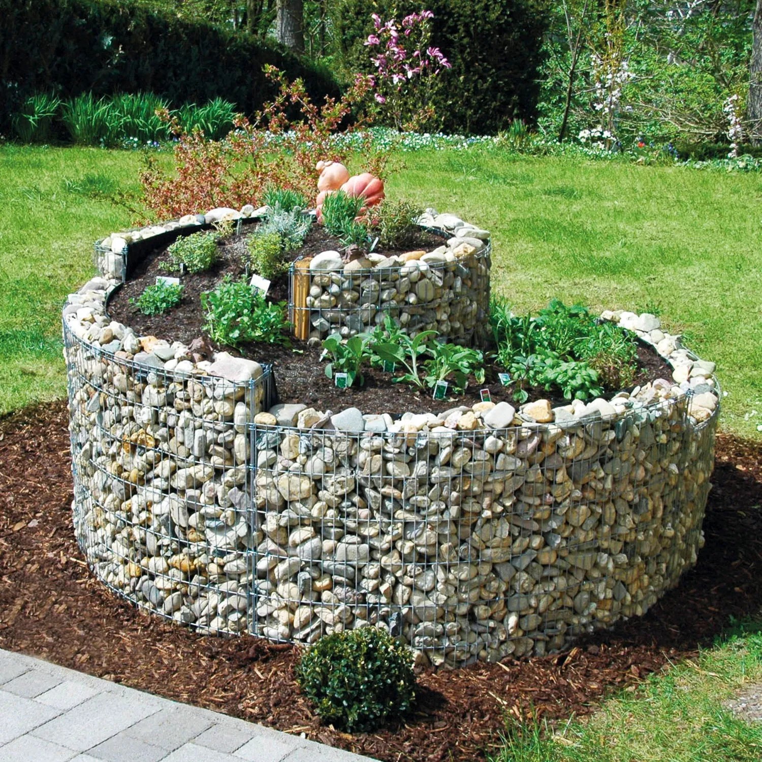 Bellissa Gabionen-Kräuterspirale Groß im Garten, befüllt mit Steinen und Kräutern.