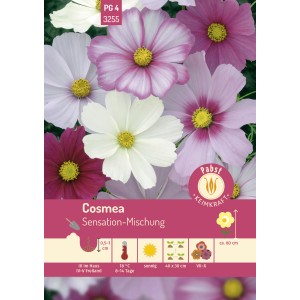 Pabst Keimkraft Cosmea Sensation-Mischung Saatgut mit rosa, roten und weißen Blüten.