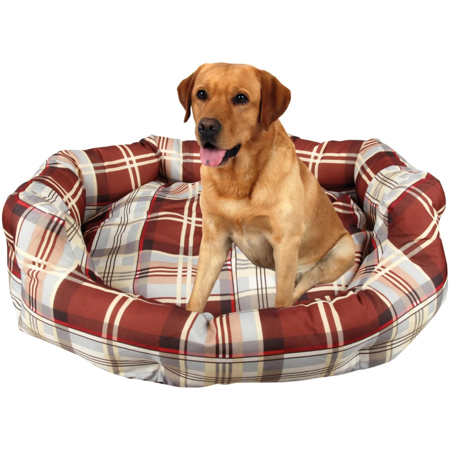 LvRao Haustierbett – Rechteckiges Hundebett/Katzenbett, Tragbar & Waschbar | Orange, 68x55x16 Cm