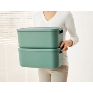 Rotho Multibox Albula 12 l Mistletoe Green