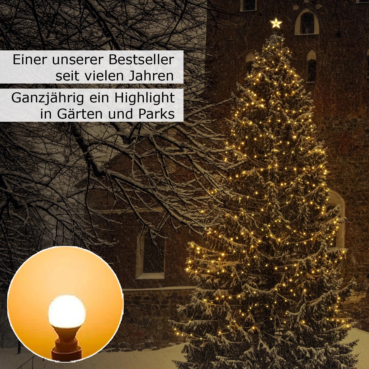 Lichterkette mit warmweißen LED-Kugeln an Tanne im Schnee, Weihnachtsbeleuchtung für Garten.