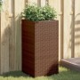 Brauner vidaXL Pflanzkübel (40x40x80 cm) aus Poly Rattan mit Pflanzen, geeignet für Garten und Terrasse.