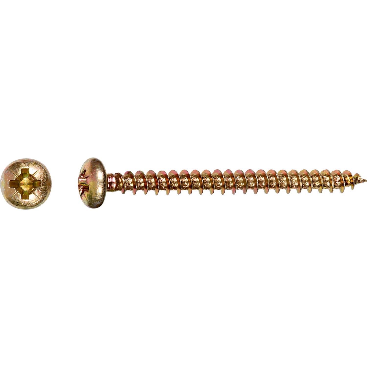 Halbrundkopf Spanplattenschraube PZ-Antrieb Ø 6 mm x 60 mm 6 Stück