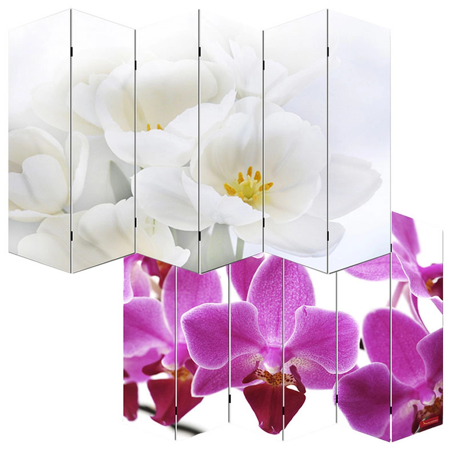 MCW Foto-Paravent Bagheria 180x240cm Orchidee günstig online kaufen