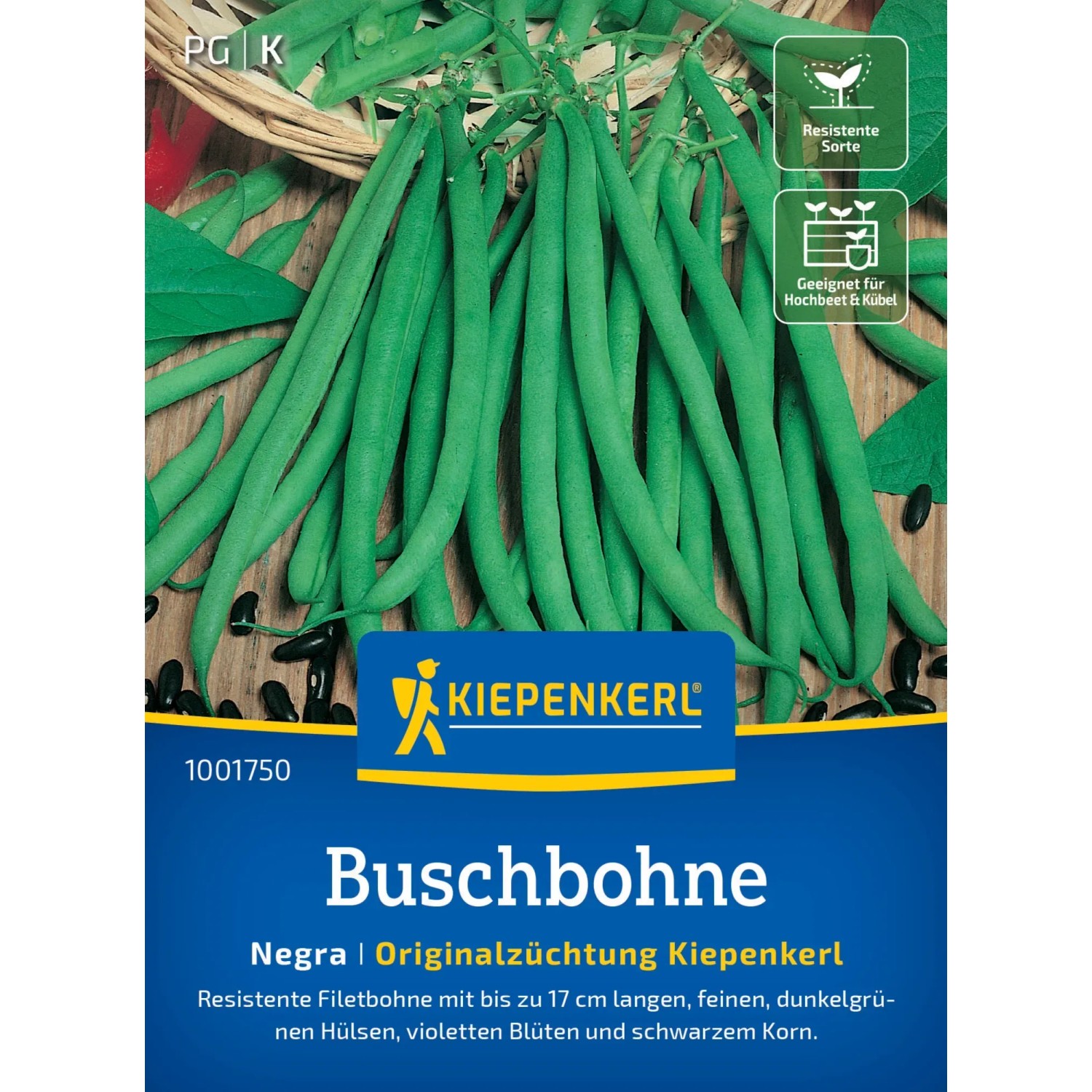 Kiepenkerl Profi-Line Buschbohne "Negra"