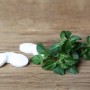 Blu Kaugummistrauch (Topf) mit weißen Tabletten auf Holzuntergrund.