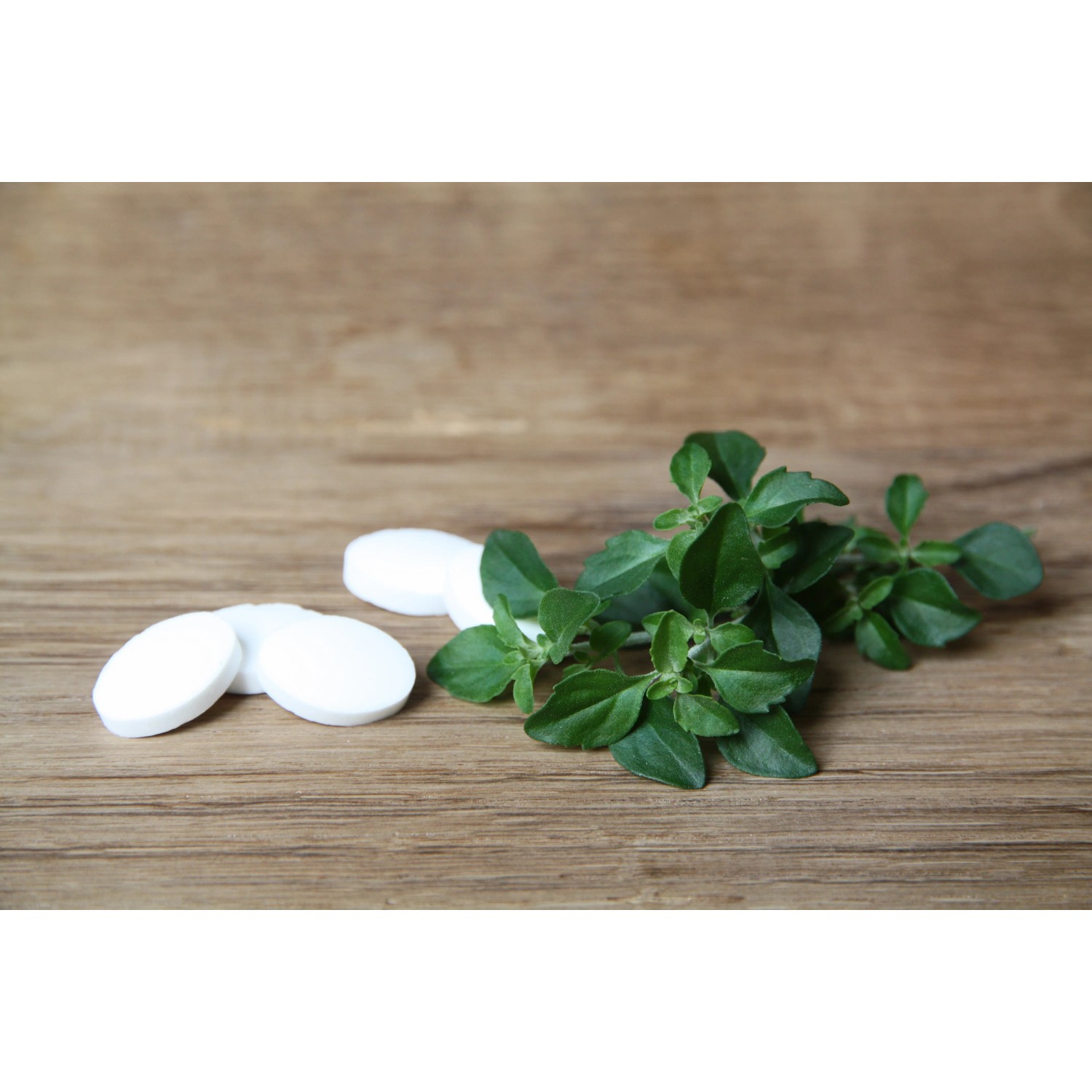 Blu Kaugummistrauch (Topf) mit weißen Tabletten auf Holzuntergrund.