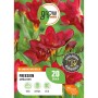 Verpackung rote, gefüllte Freesien von GROW by OBI, Blumenzwiebeln für Beet und Balkon.