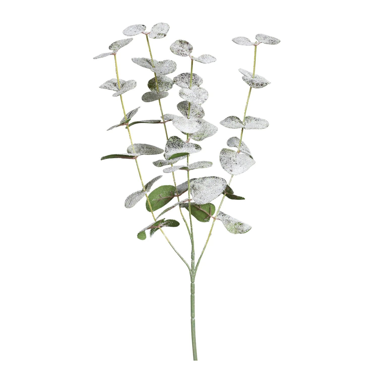 DPI Eukalyptus-Zweig mit Glitzer 73 cm Grün-Weiß