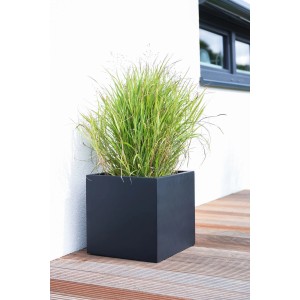 Anthrazitfarbener Vivanno Pflanzkübel Block 50x50x50 cm mit Bepflanzung.