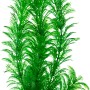 Tetra DecoArt Plant L Green Cabomba, grüne Kunstpflanze für Aquarien.