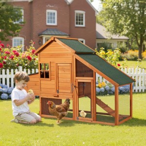 Wiltec Hühnerstall aus Fichtenholz mit grünem Dach, Freilauf und Rampe. Kind mit Küken im Garten.