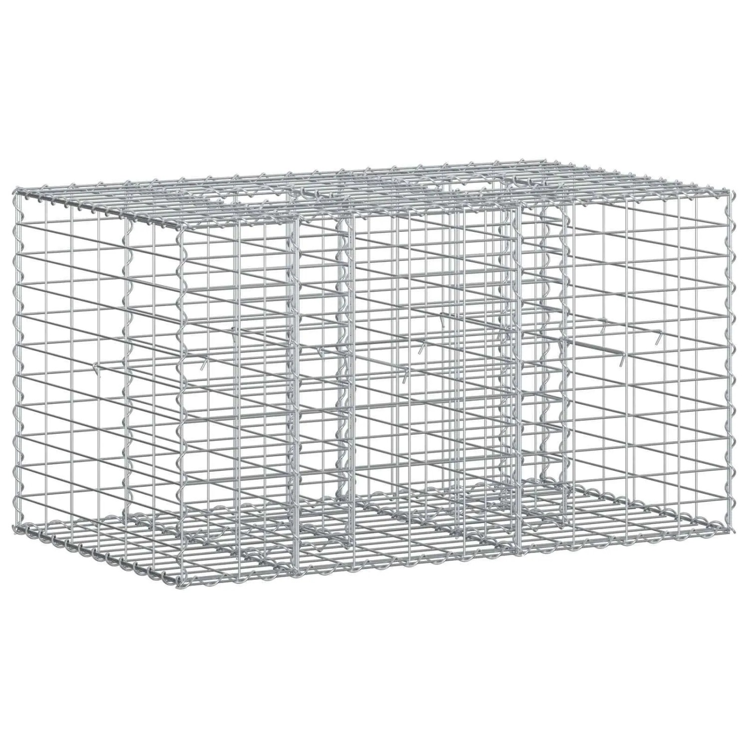 vidaXL Gabionen Hochbeet Silber 100 x 60 x 55 cm Verzinkter Stahl 42033321