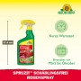 Neudorff Spruzit AF RosenSpray 750ml zur Schädlingsbekämpfung an Rosen und Zierpflanzen.