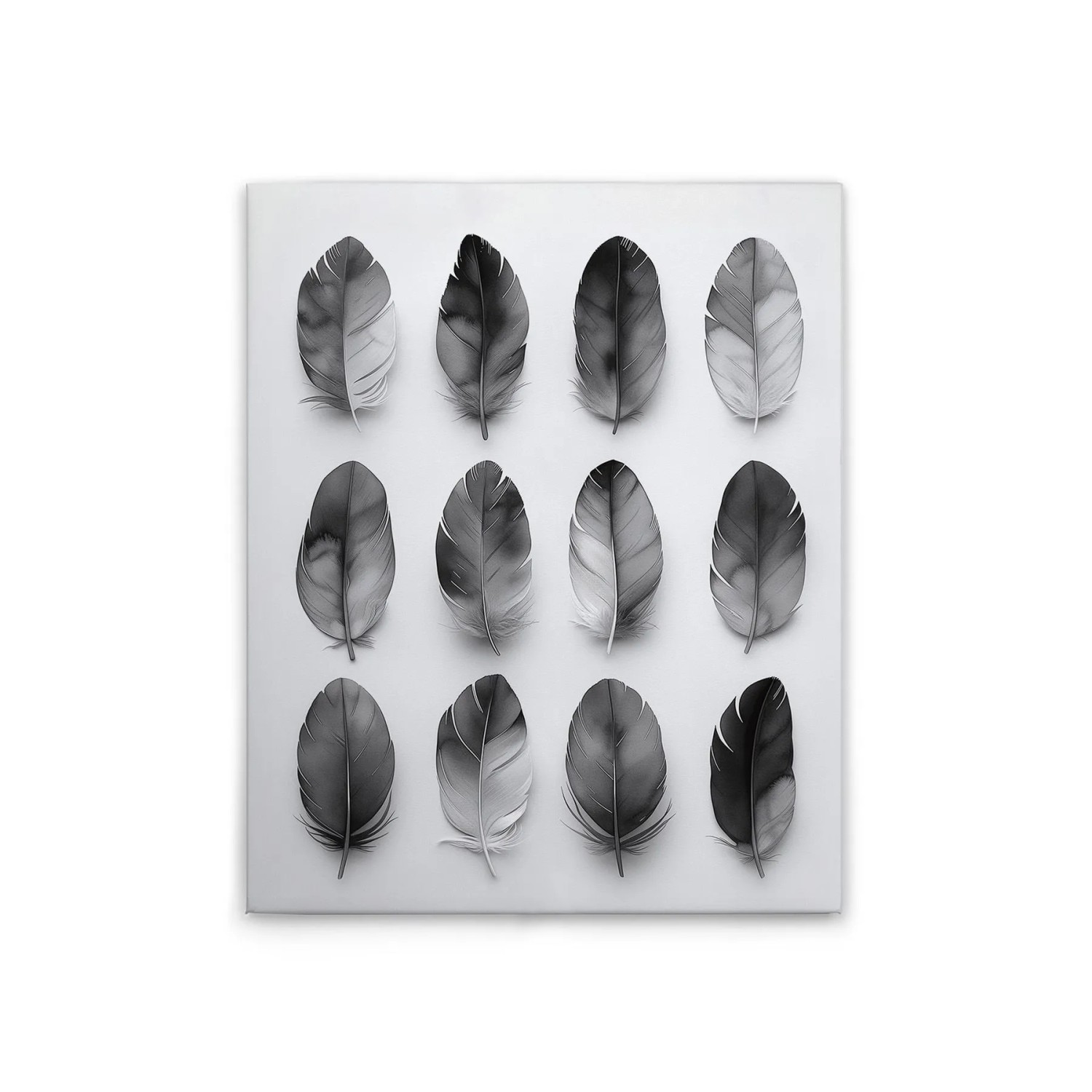 Tadessi Leinwandbild - M1-No.51796 - Federn Grau - 40 x 50 cm - Querformat