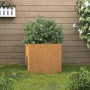 Rostiger Cortenstahl Pflanzkübel 49x47x46 cm mit grüner Pflanze auf Rasen vor Holzwand. Ideal für Garten & Terrasse.