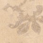 Beige, matte Wandfliese Impero Feinsteinzeug Dekor, 60x120 cm, mit floralem Muster.