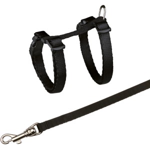 Schwarzes Jollypaw Kätzchengeschirr mit Leine, verstellbar für kleine Katzen und Kätzchen.