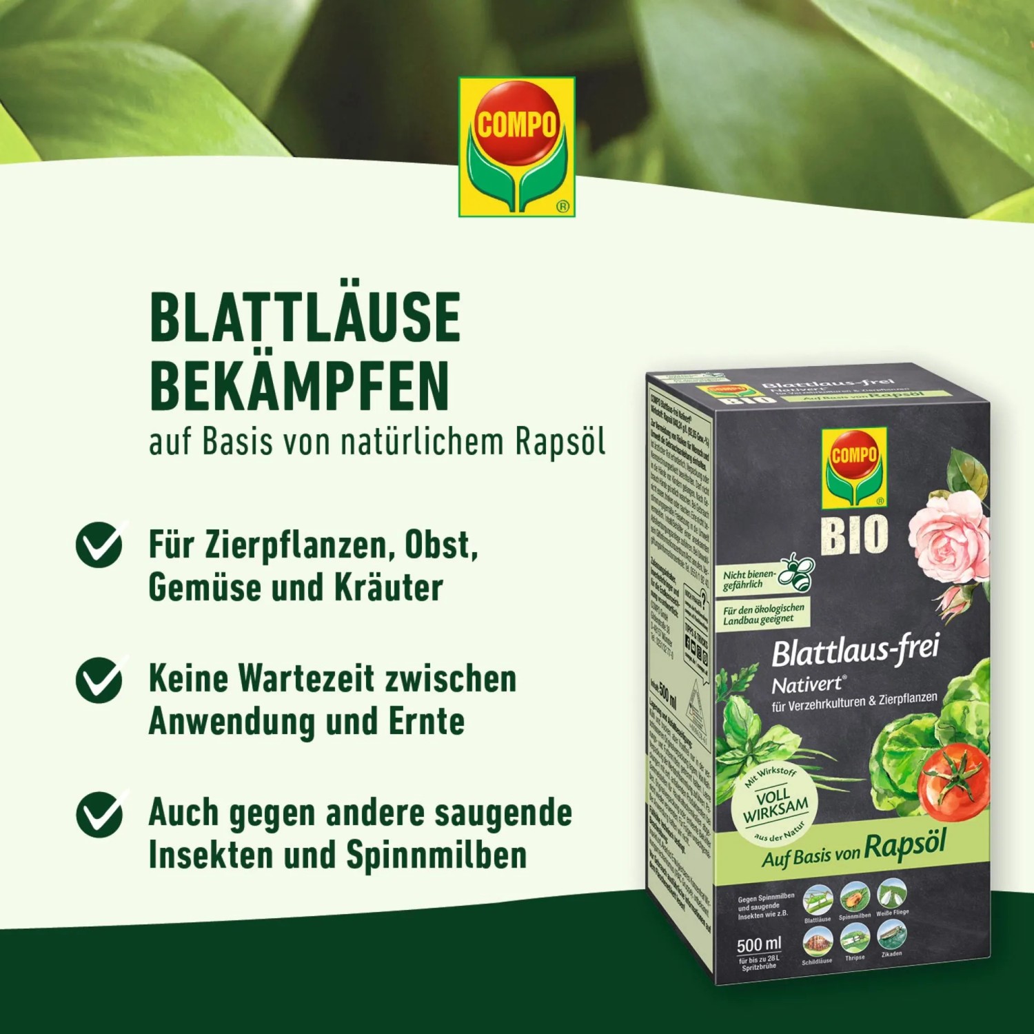 Compo Nativert Blattlaus-frei Bio, 500ml Flasche zur Bekämpfung von Blattläusen.
