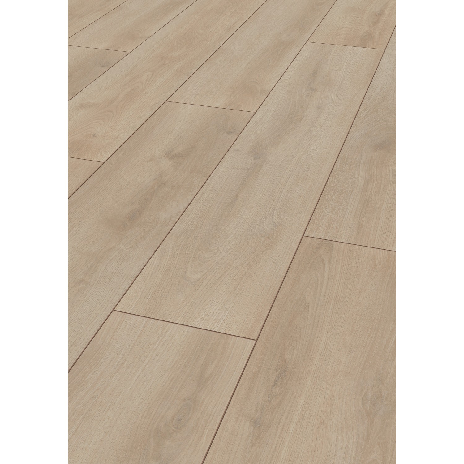 Jangal Laminatboden Oak National Park Line Pro Silent günstig online kaufen