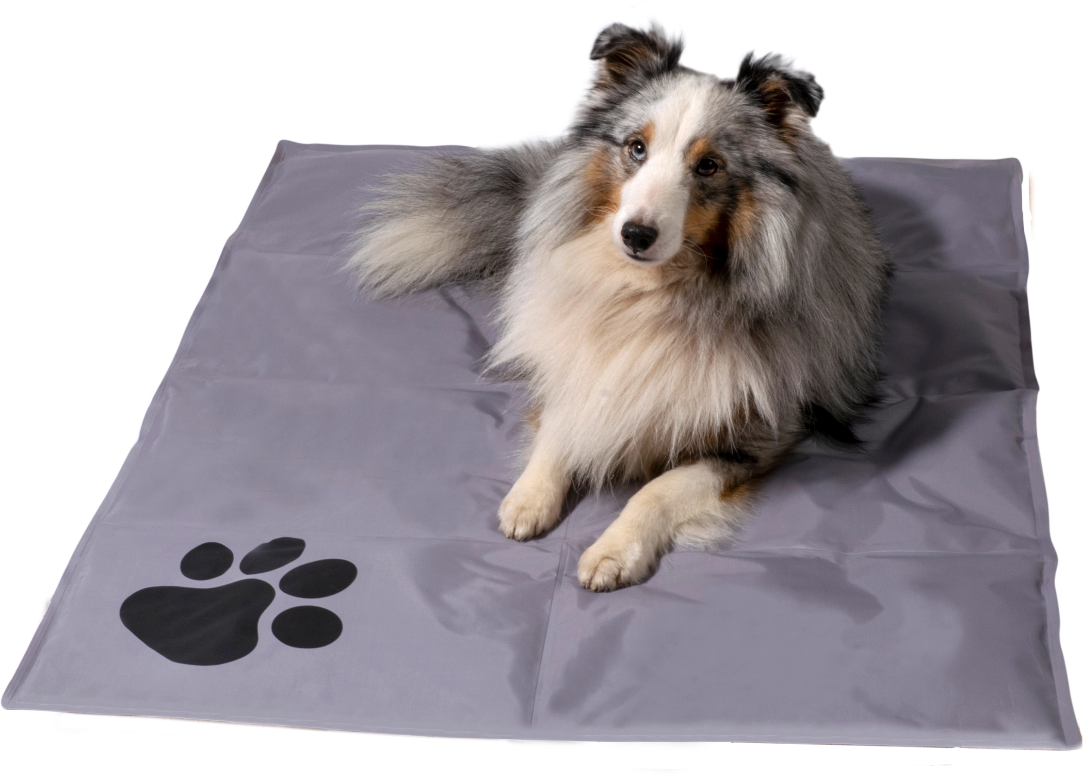 Dobar Große Kühlmatte für Hunde mit Pfoten Muster 99,5 x 70 cm