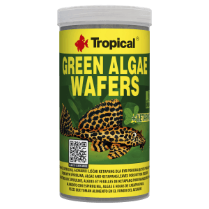 Tropical Tablettenfutter Green Algae Wafers 250 ml