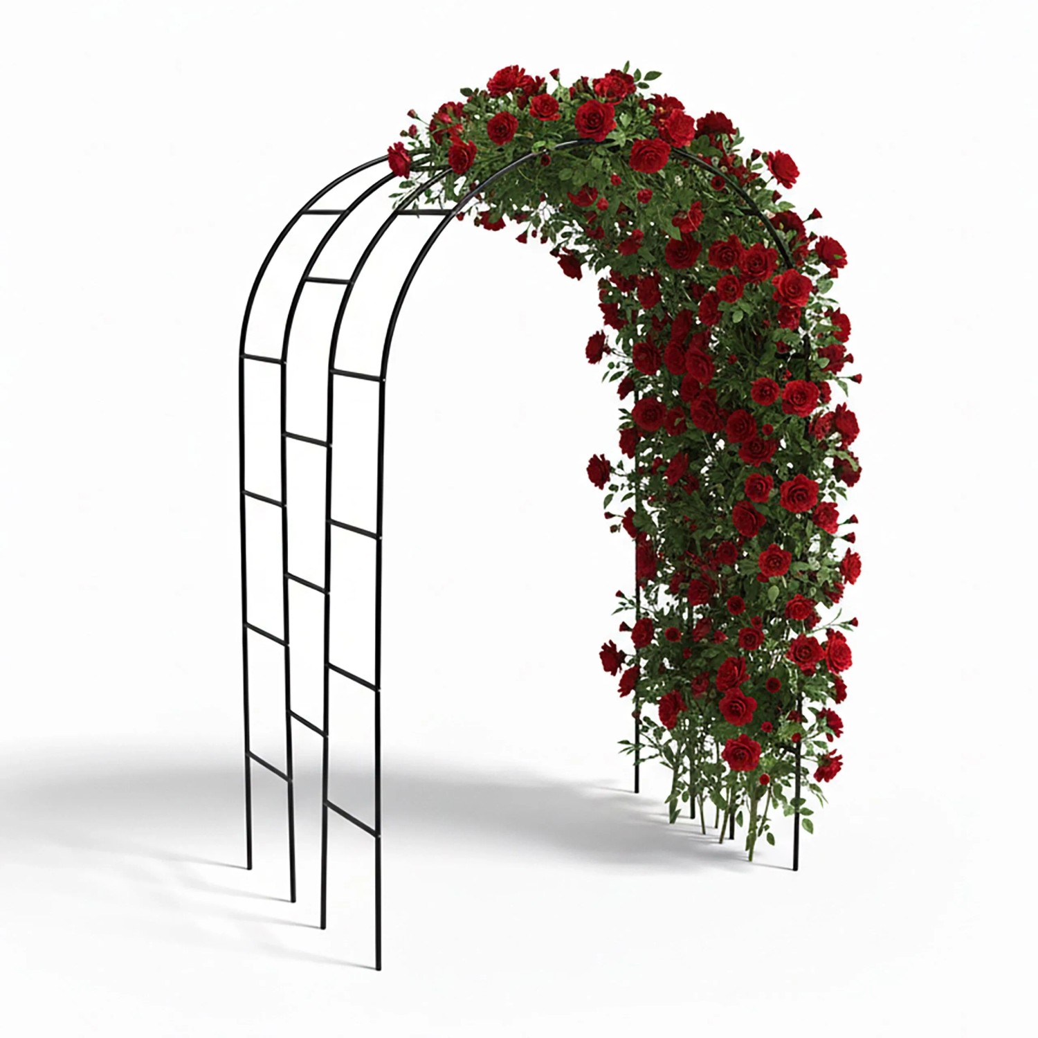 Schwarzer Rosenbogen aus Eisen, bewachsen mit roten Rosen, als Rankhilfe für Kletterpflanzen.