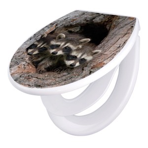 Banjado WC-Sitz Familie mit Waschbären-Motiv. Klodeckel mit Absenkautomatik und integriertem Kindersitz.