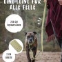 Verstellbare, grüne Rudelkönig Hundeleine Frida aus Nylon mit Hund