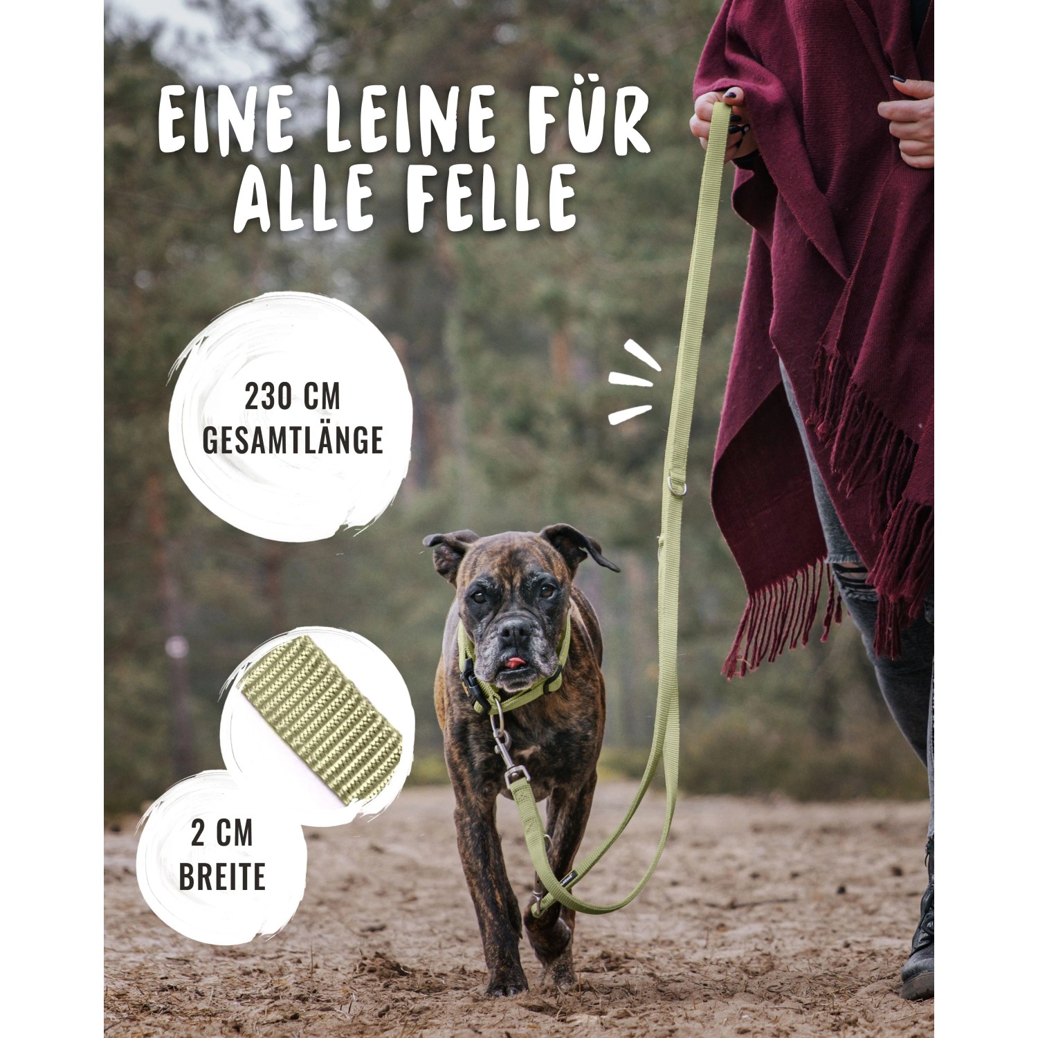 Verstellbare, grüne Rudelkönig Hundeleine Frida aus Nylon mit Hund