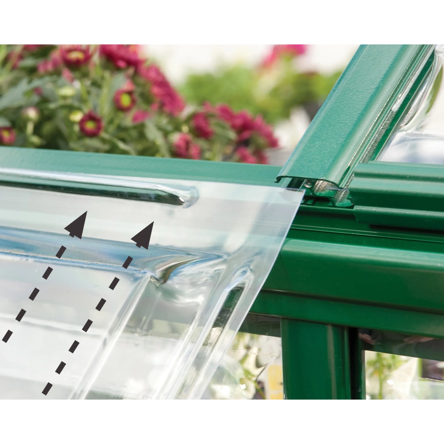 Detailaufnahme des Palram Canopia Gewächshauses mit Polycarbonatplatten und grünem Rahmen.